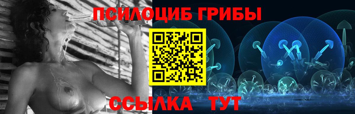 Галлюциногенные грибы прущие грибы Ефремов