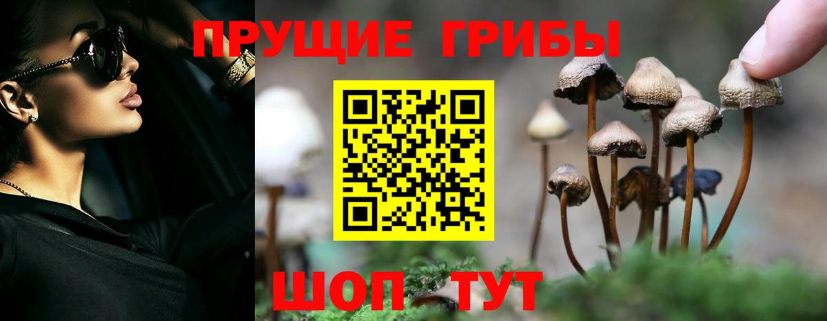 Ефремов  Псилоцибиновые грибы MAGIC MUSHROOMS  Вход с VPN 
